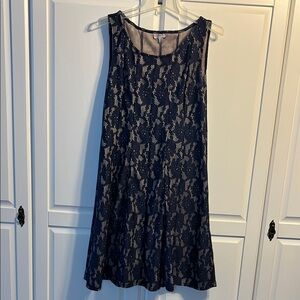 Elegant Navy Lace Mini Dress